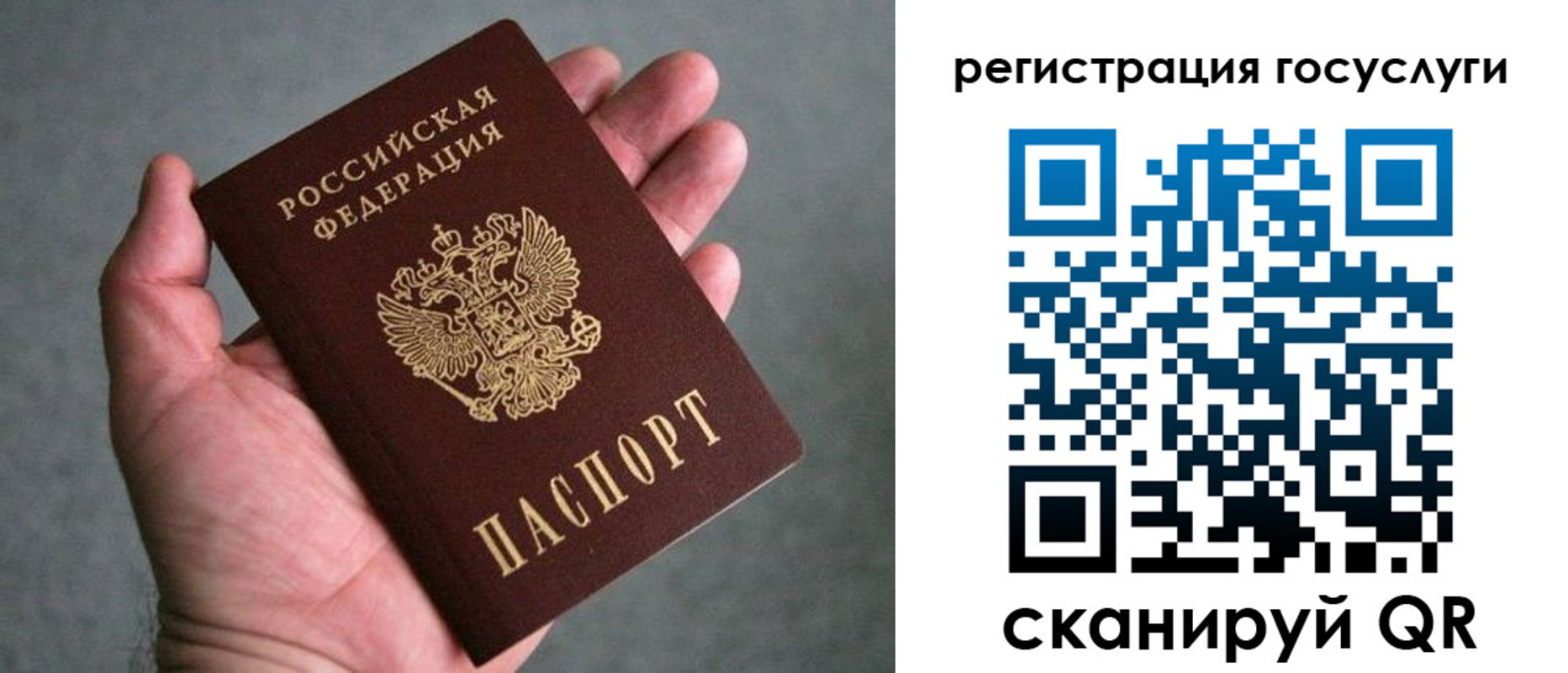 прописка поиск в Петропавловске-Камчатском